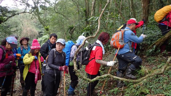  傑士嶺-伏獅山-九芎坑山古道O型連走178997