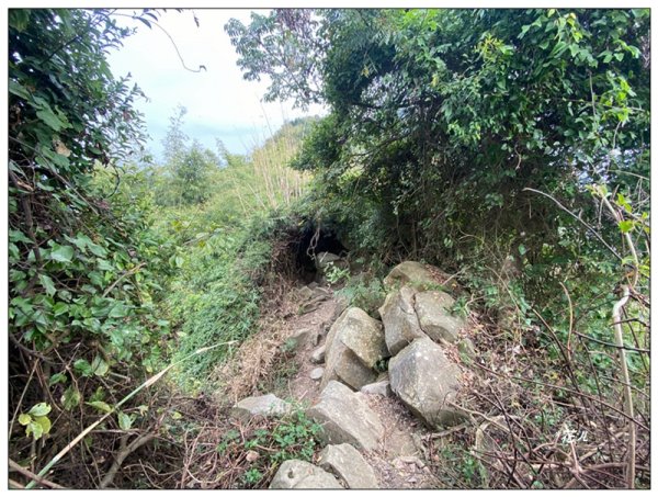 旗靈縱走(旗尾山、福美山、金字面山、人頭山、靈山)2996498