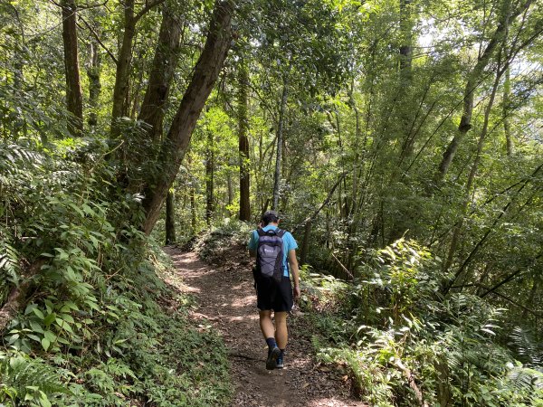《探訪熊空秘境｜新北三峽雲森瀑布沁涼體驗》2878463
