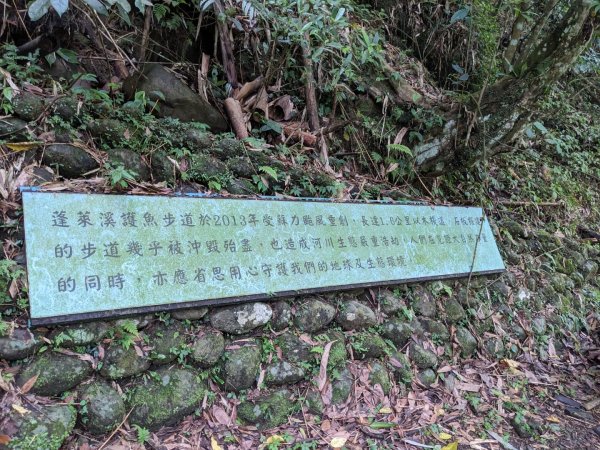 蓬萊溪護魚步道3047356