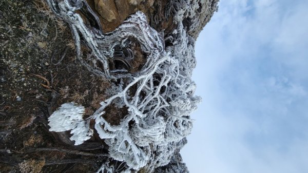 多變化南湖大山1564260