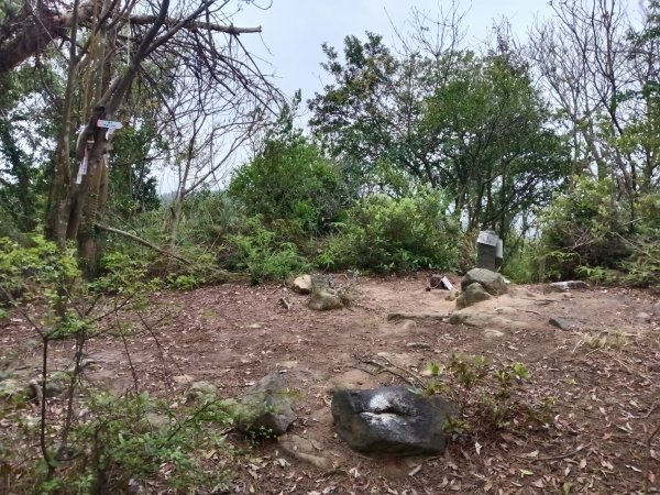 北投區大砲岩-石壇山-大師岩-湯守山-熱海岩場-八頭山-烏尖連山-軍艦岩3027330