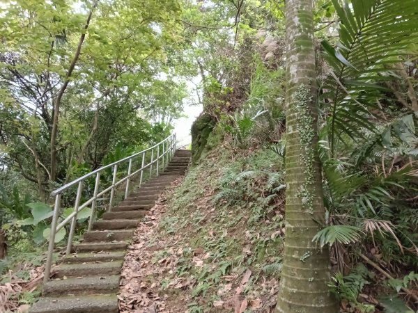 汐止區小南港山(橫科山)+白匏湖+白匏湖山+白雲古道2970617