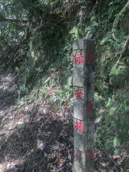 灣潭古道 & 北勢溪古道連走(淡蘭古道中路)2030162