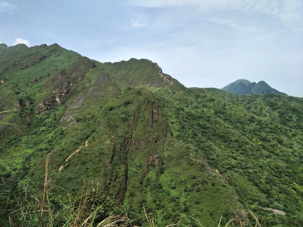 20190526劍龍、鋸齒、無耳茶壺山593218