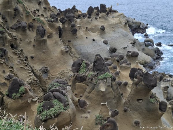 《基隆》奇石黑鳶｜和平島地質公園環山步道O繞202609183121022