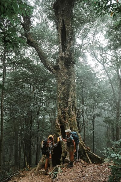 高台山沒有縱走1514743