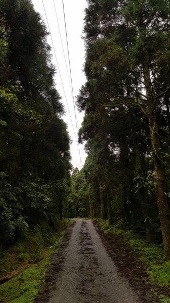 淡蘭古道坪溪段1294156