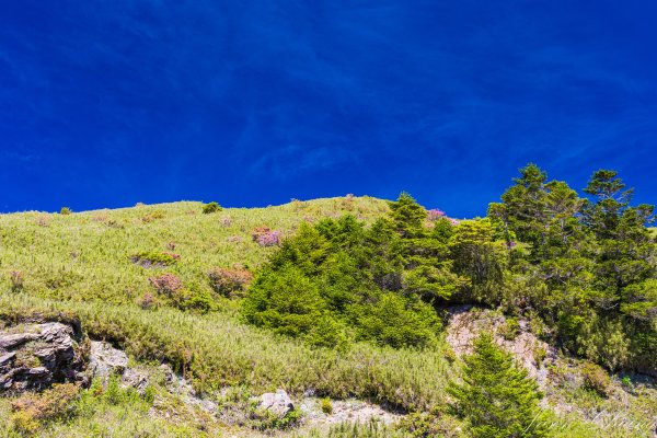 [花蓮]卡拉寶山3095259