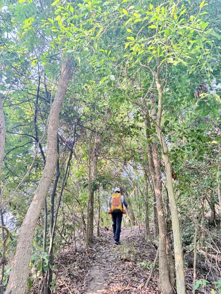 16年後重逢糖子恩山   2026.3.253026315