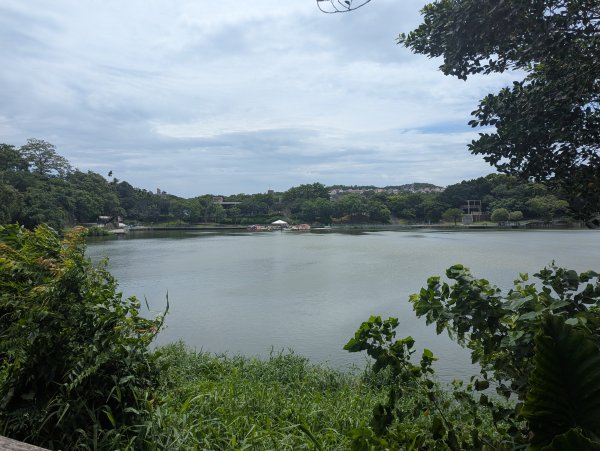 2025.08.03－青草湖環湖步道2850476