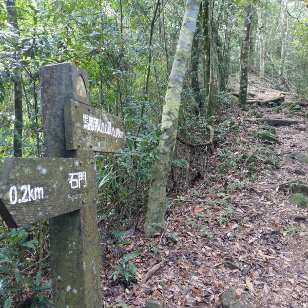 馬那邦山步道715753