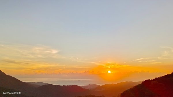 雲山水花鳥蝶 - 天龍國阿伯的日常7/18 & 21、22、292556669