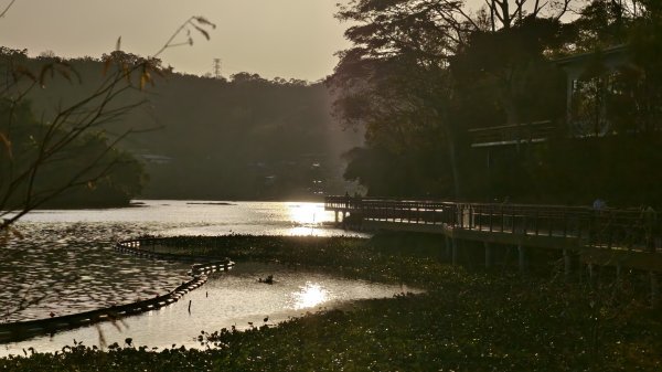 【蛇年走春】峨眉彌勒2706175