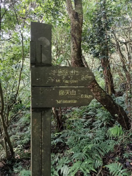1131005向天山3097997