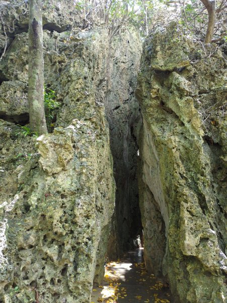 2024.06.09－墾丁國家公園2523865