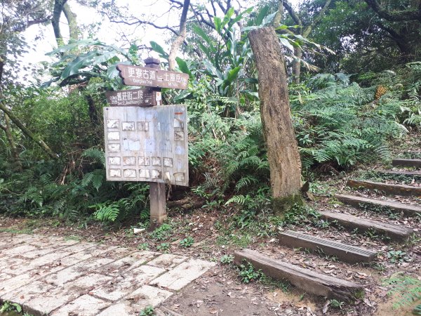 土庫岳(更寮古道)1652223