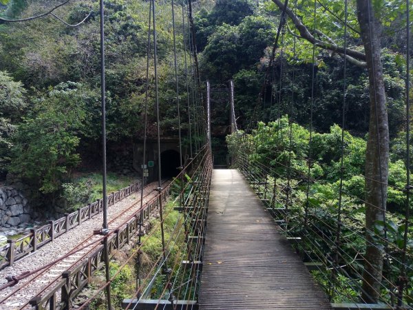 獨立山國家步道 大巃頂步道 太平945733