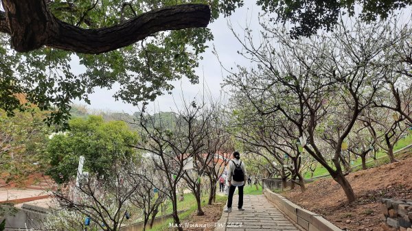 《彰化》花景第一排｜花壇虎山巖後山步道202402242436717