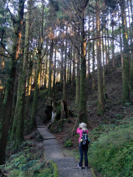 小百岳(59)-大塔山-202209251878798