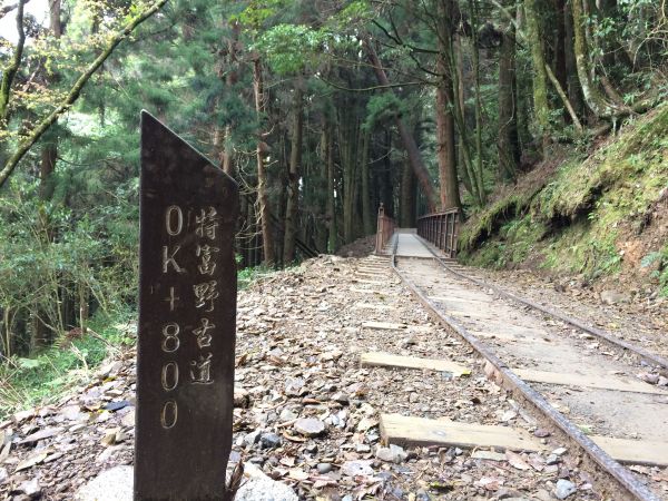 20180401-阿里山特富野古道301367