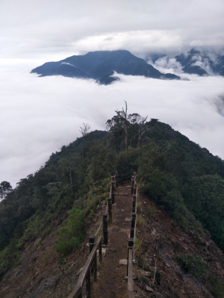 谷關七雄:阿白縱走-白毛山+太郎山+次郎山1513807