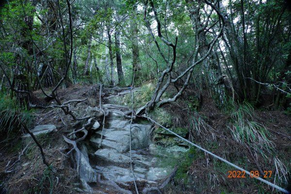 花蓮 秀林 畢祿山 (高遶-進；崩塌-出)1823038