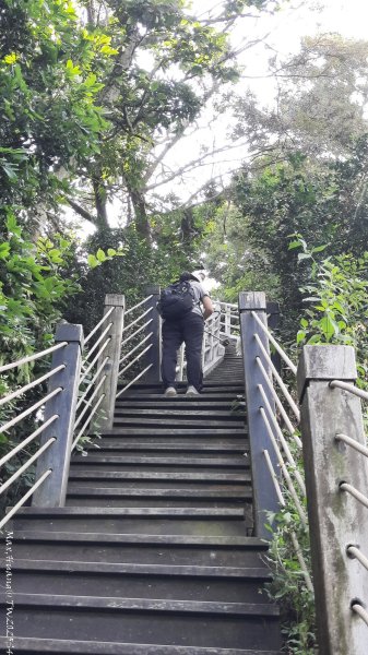 《台中》郊山飆汗｜潭子新田登山步道上聚興山O繞202510042904459