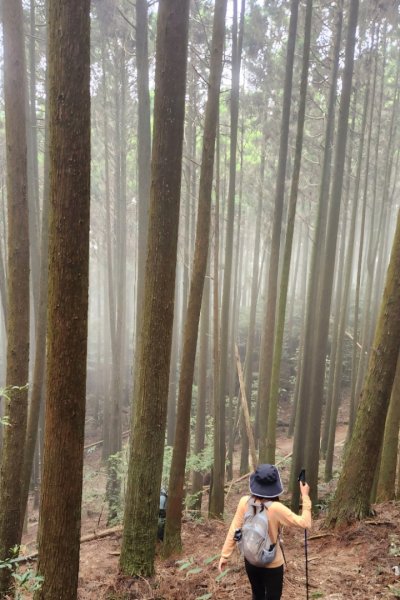 【中級山縱走】最美中級山，鳶嘴西稜縱走（鳶嘴山，醜崠山，長壽山）2741358