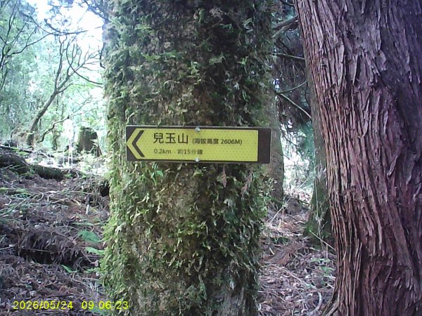 兒玉(自忠)山、東水山、東水山西峰及特富野古道O繞。3061783