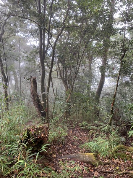20251220嘉義凸龜山-芙蓉山-天福山2973815