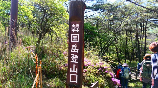 南九州－韓國岳,白鳥山3063927