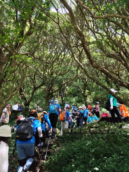 二子坪、二子山西峰、二子山東峰、大屯自然公園、菜公坑山、陽明山前山公園【臺北大縱走 1&2】2540940