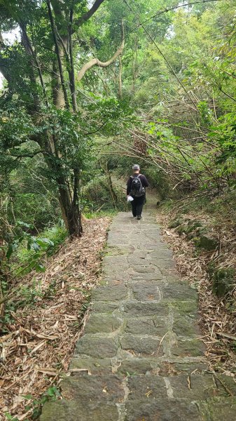 2026-0116 大屯三山_貴子坑_北投2984777