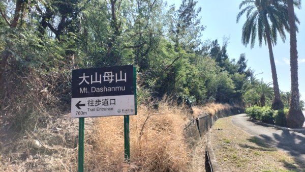 20250203_小百岳大山母山2706852
