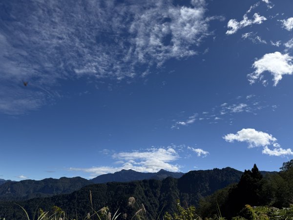 1141122特富野古道2995402