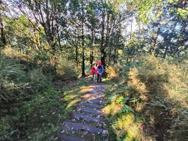 翠峰湖望洋山步道2940130