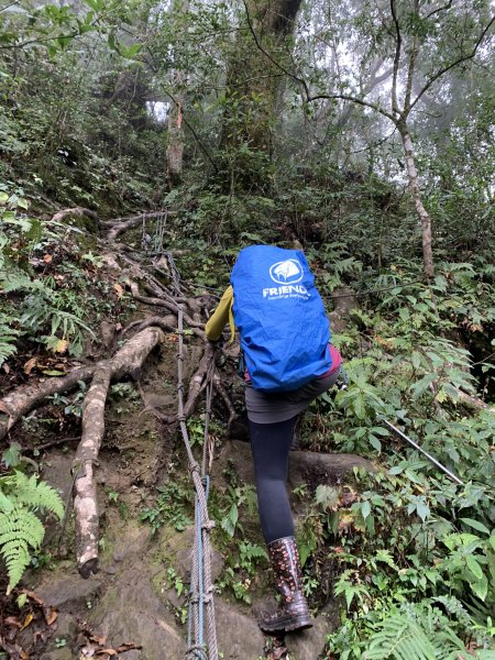 20251220嘉義凸龜山-芙蓉山-天福山2973849