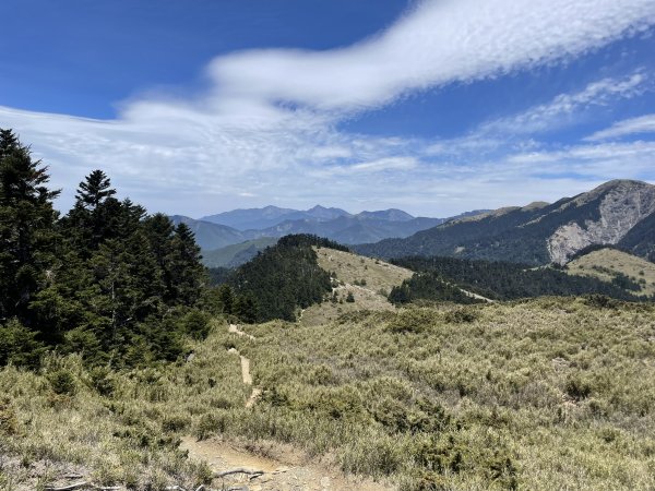 合歡北、西峰(三訪)113.04.212492804