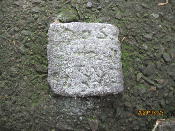 劍潭山步道904739