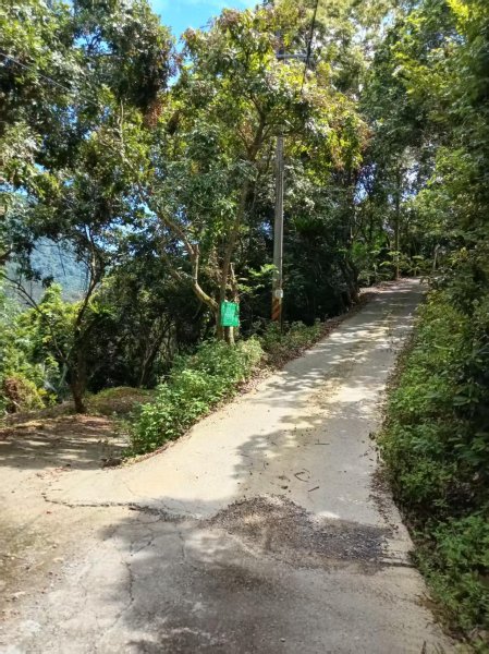 國姓「鋤頭盤山」山字森林三角點3131497