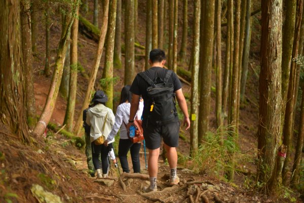 馬崙山步道2085814