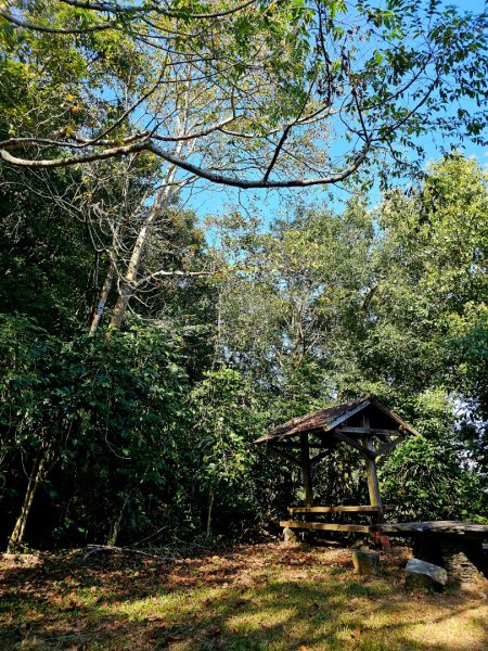 德文山步道(觀望山)-2024屏步青雲 尋寶任務2681814