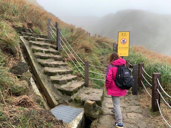 七星山（小百岳）830149