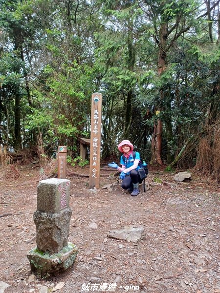 【台中和平】清風徐來蟬鳴聲。 谷關七雄~馬崙山步道2324392