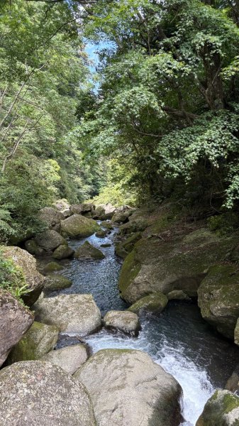 戲水（鴛鴦2786688