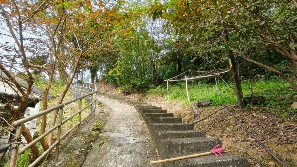 新北深坑，新翠谷登山步道3029705