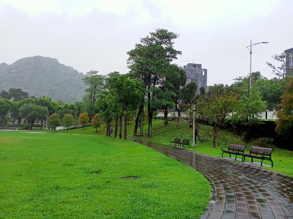 大湖公園 (防災公園)【走路趣尋寶，全臺齊步走】1895256