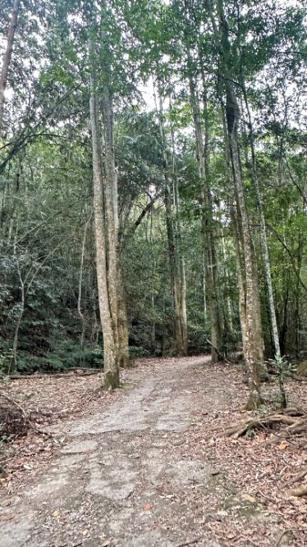 谷關白毛山2685544