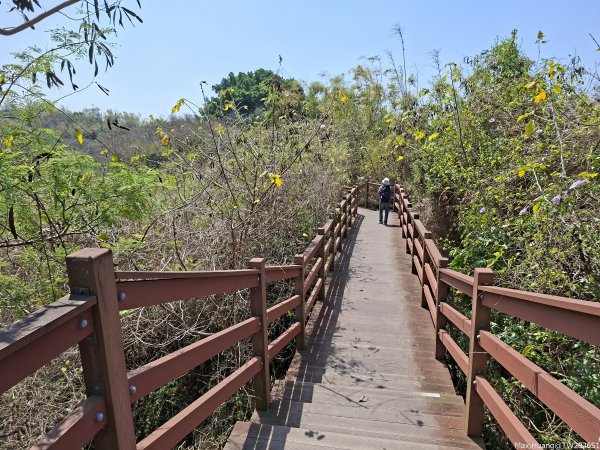 《高雄》泥岩惡地｜漯底山自然公園大O繞順訪永安、茄萣濕地202603133014678